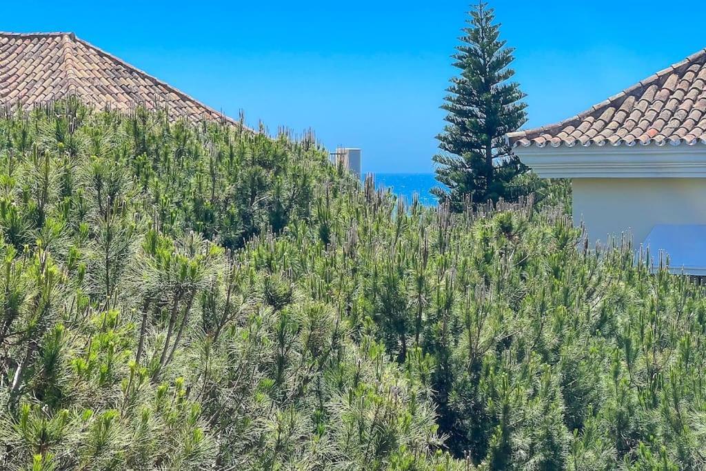 Apartamento Oleholidays Genova 2 Junto A Marriot Marbella